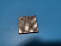 IMG_3305.JPEG