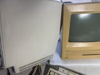 IMG_3821.jpeg
