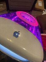 IMG_4086.jpeg IMG_4086.jpeg