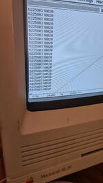 20260308_115237.jpg 20260308_115237.jpg