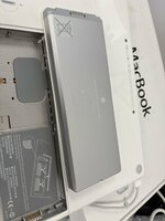 IMG_1376.jpeg