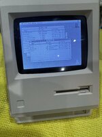 IMG_4862.jpeg