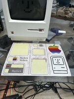 IMG_9522.jpeg