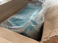 IMG_8953.jpeg