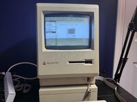 IMG_3447.jpeg