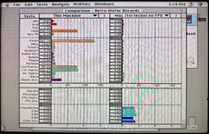 IMG_2333.jpeg