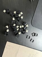 IMG_9946.jpeg