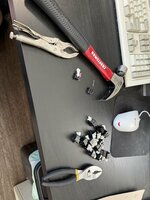 IMG_9942.jpeg