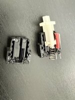 IMG_9941.jpeg