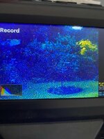 IMG_0825.jpeg