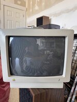 IMG_3416.jpeg