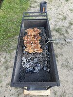 IMG_2883.jpeg IMG_2883.jpeg