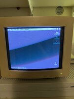 IMG_0015.jpeg