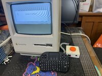 IMG_5953.jpeg