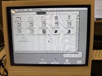 IMG_9025.jpeg IMG_9025.jpeg