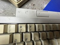 9C76D20F-3BA0-476B-8702-0F880E3E90D7.jpeg
