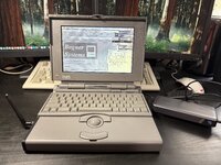 IMG_3767.jpeg