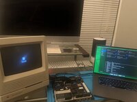 IMG_0085.jpeg