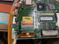 IMG_9933.jpeg