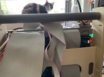 BA2BCD73-480F-47C8-B11F-44900D11225C.jpeg