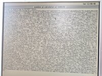 3000.jpg