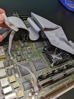 PXL_20220805_131546521.jpg