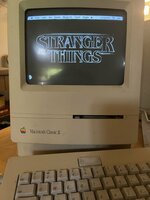 IMG_9702.jpeg