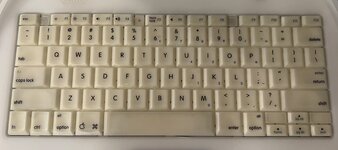 B63E6047-E581-43D4-ACDE-E6AC3A1F85AC.jpeg