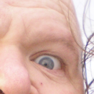 Alf Torp
