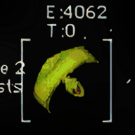 torus_aei