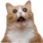 Flipflargin