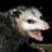 Arbystpossum